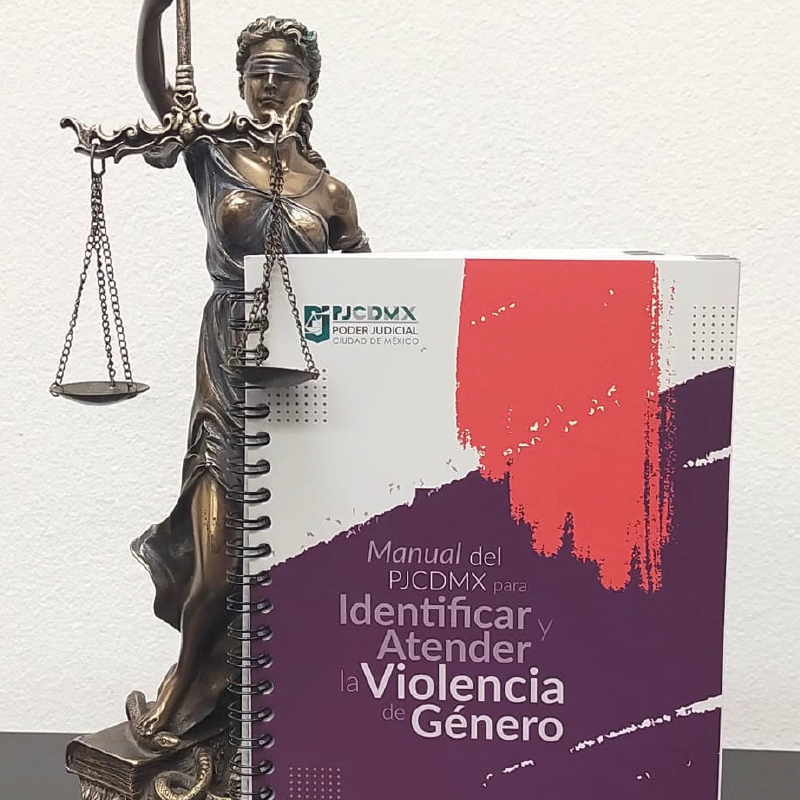 MUESTRA MANUAL DEL PJCDMX QUÉ HACER A VÍCTIMAS DE VIOLENCIA DE GÉNERO_Mesa de trabajo 1 copia