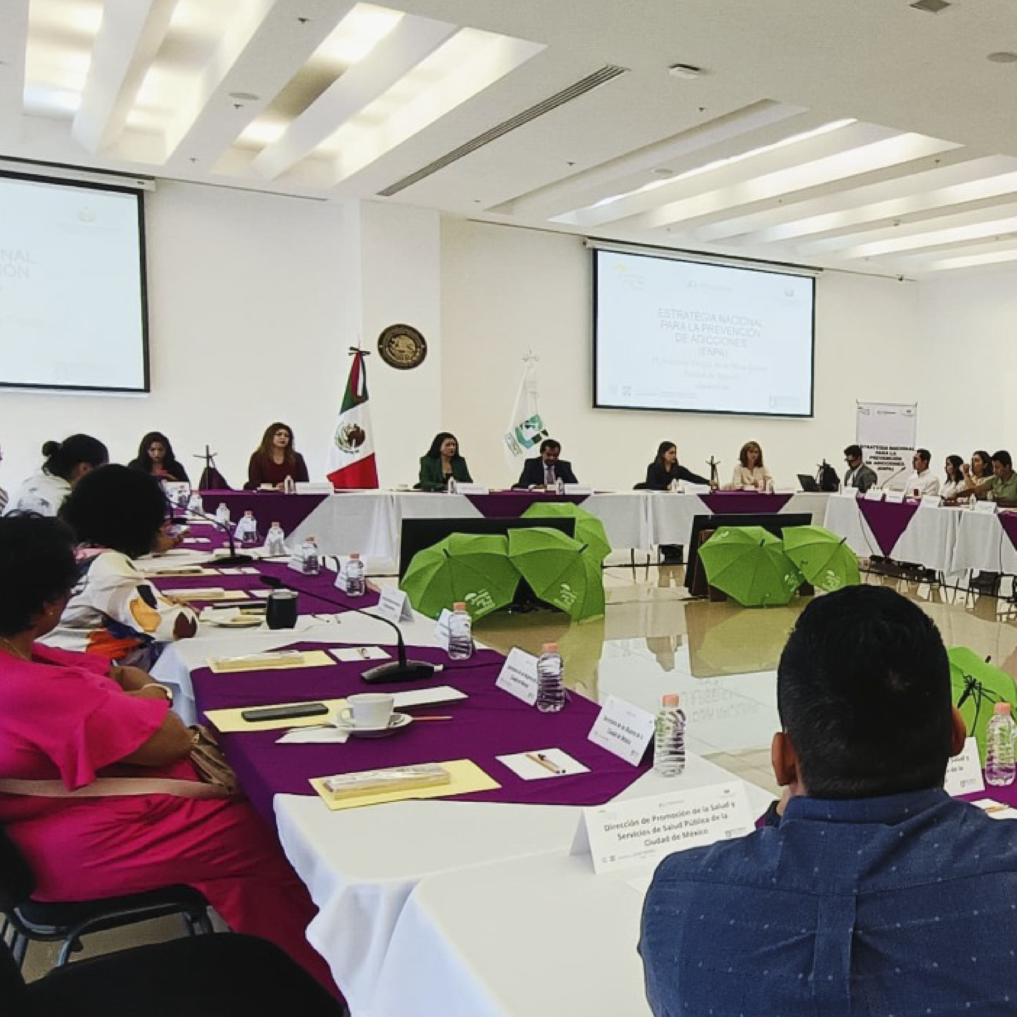 PROBLEMAS DE SALUD MENTAL Y DE ADICCIONES REQUIEREN DE ACCIONES PRIORITARIAS- PJCDMX-03