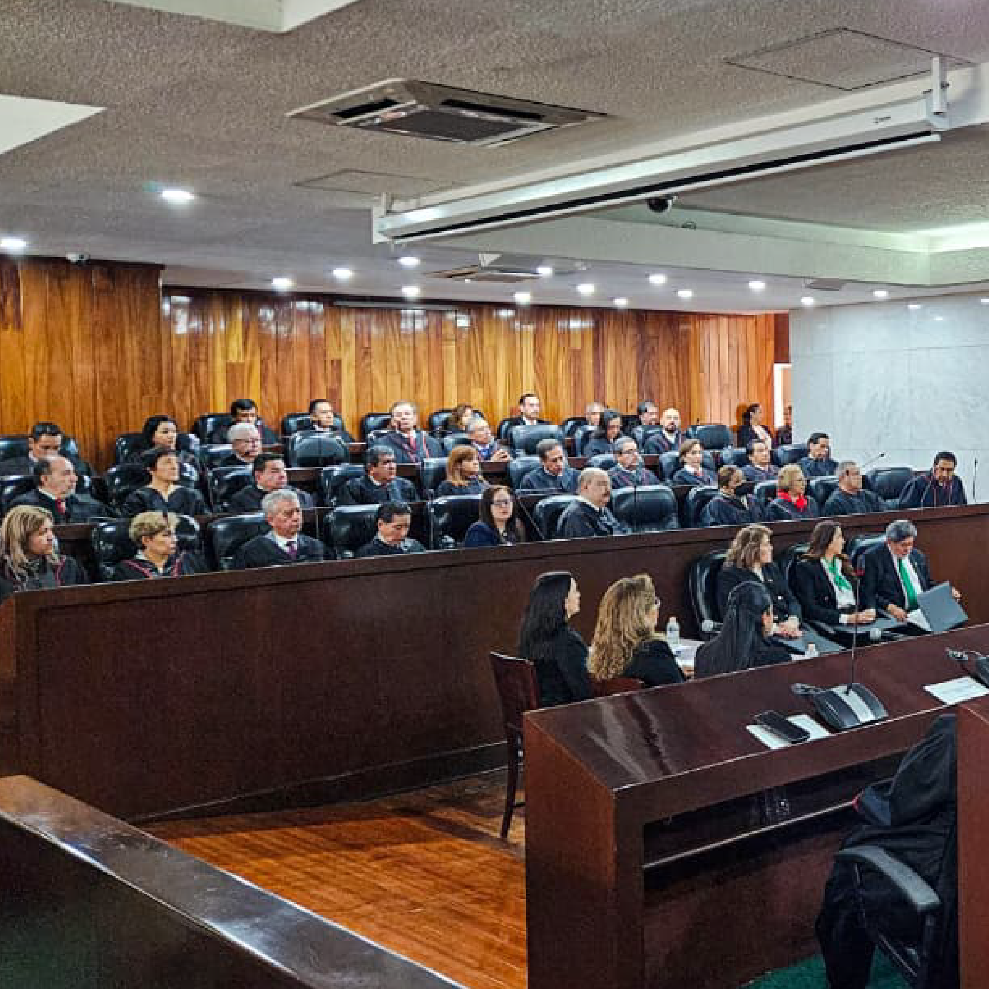 RINDE PJCDMX RECONOCIMIENTO AL CONSEJO DE LA JUDICATURA DE LA CIUDAD DE MEXICO_Mesa de trabajo 1 copia 6-02