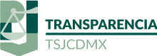 Trans_TSJLogo