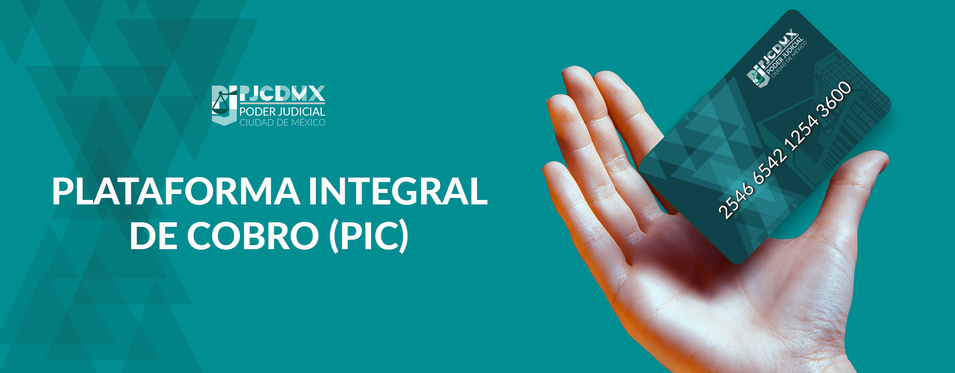 web_plataforma pic